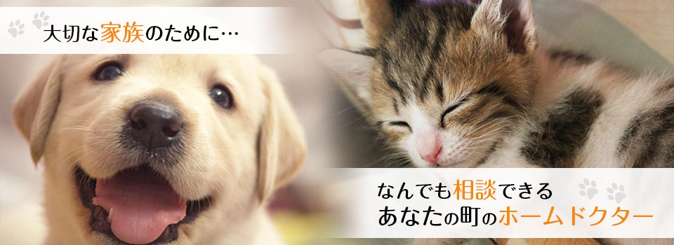 上福岡OZ動物病院