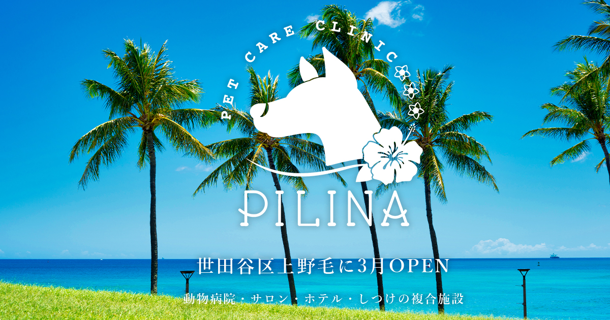 PET CARE CLINIC PILINA（ピリナ）