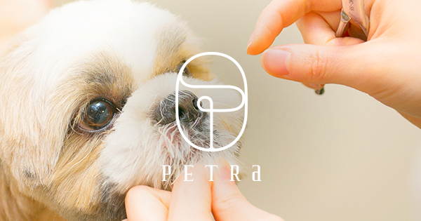 PETRA Style 覚王山店