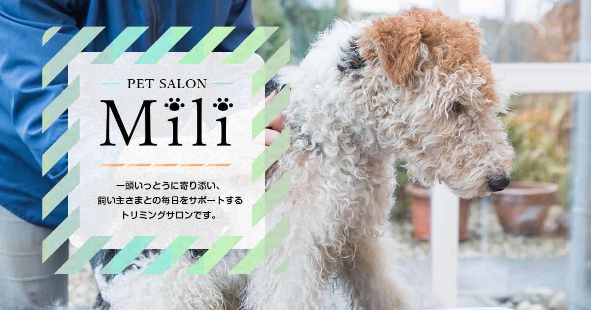 PETSALON Mili