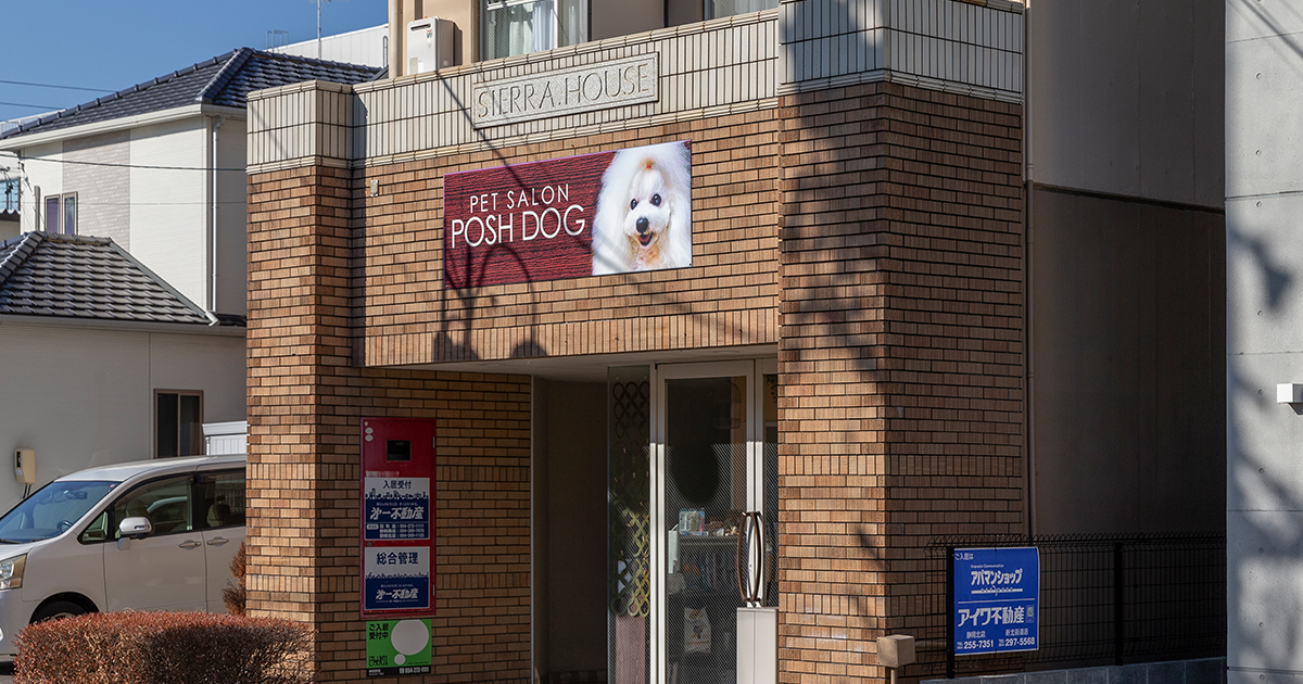 PETSALON POSHDOG