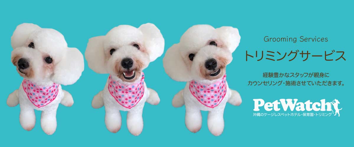 ケージレスペットホテル&トリミング PET WATCH