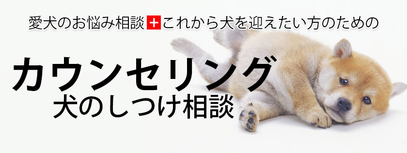 PLAYBOW 大阪松屋町店