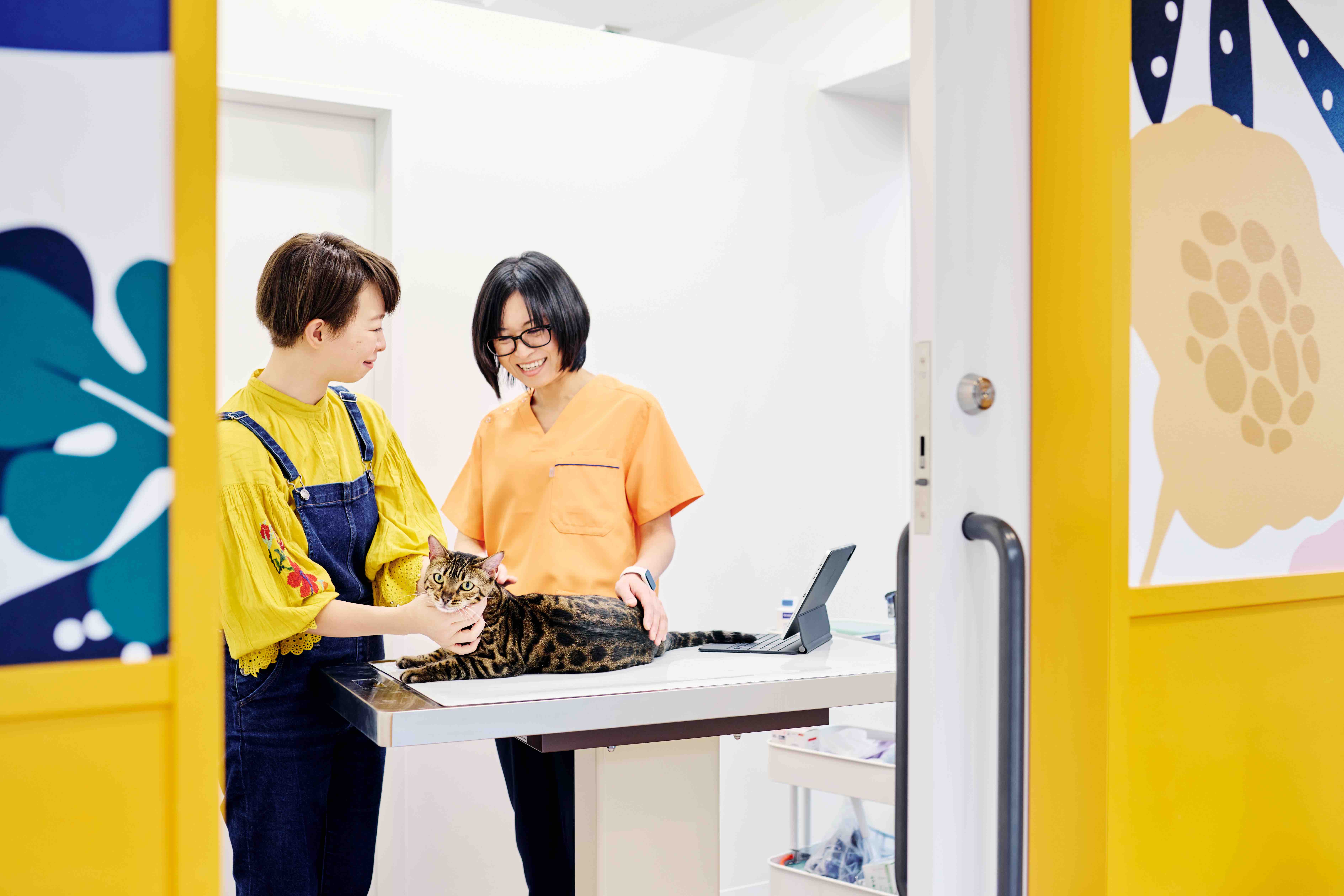 神楽坂動物病院（動物医療センターPeco分院）