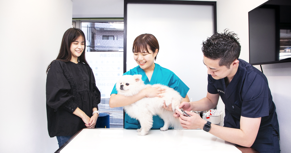 東新宿どうぶつクリニックPeco