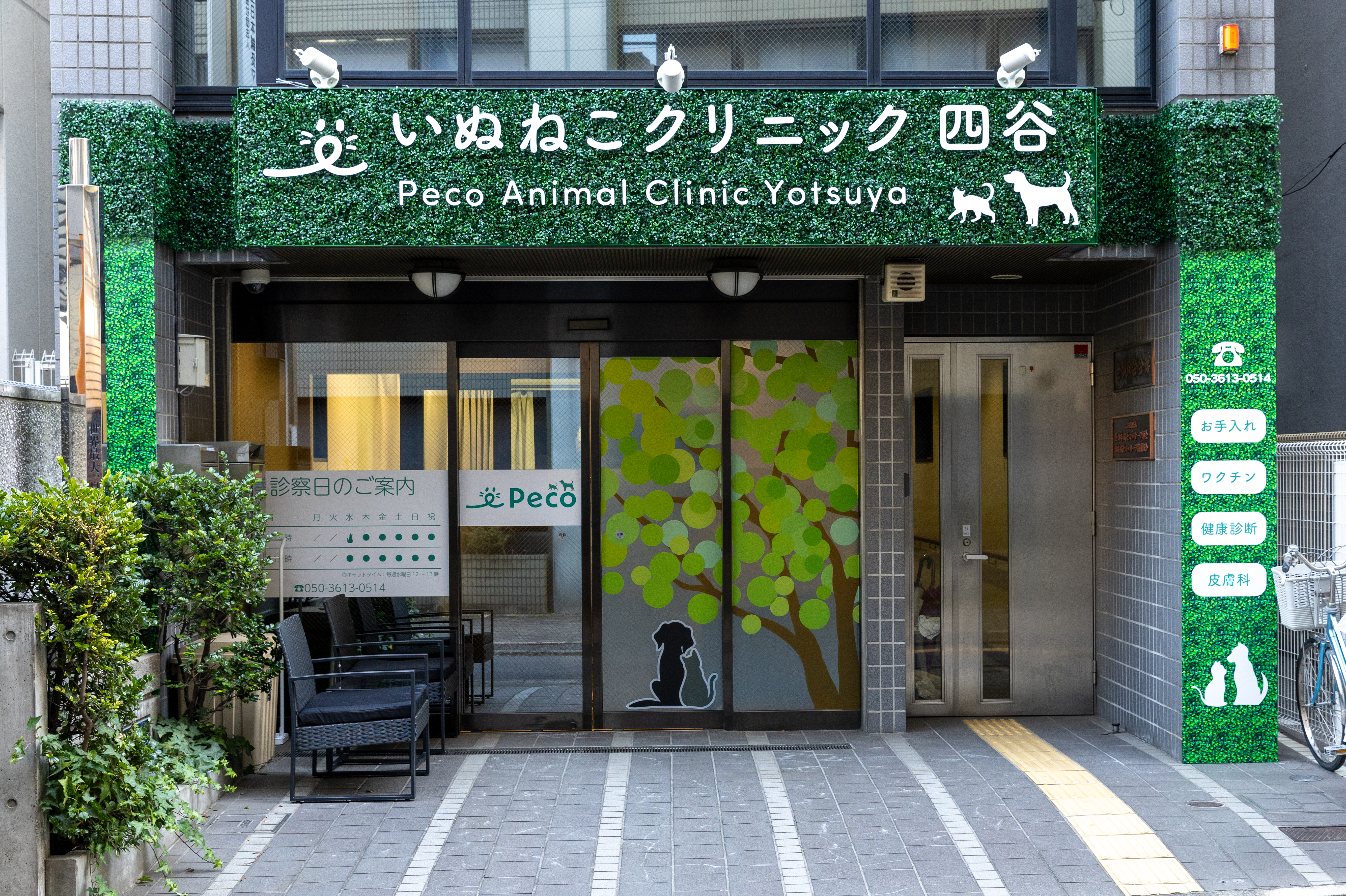 四谷いぬねこクリニックPeco