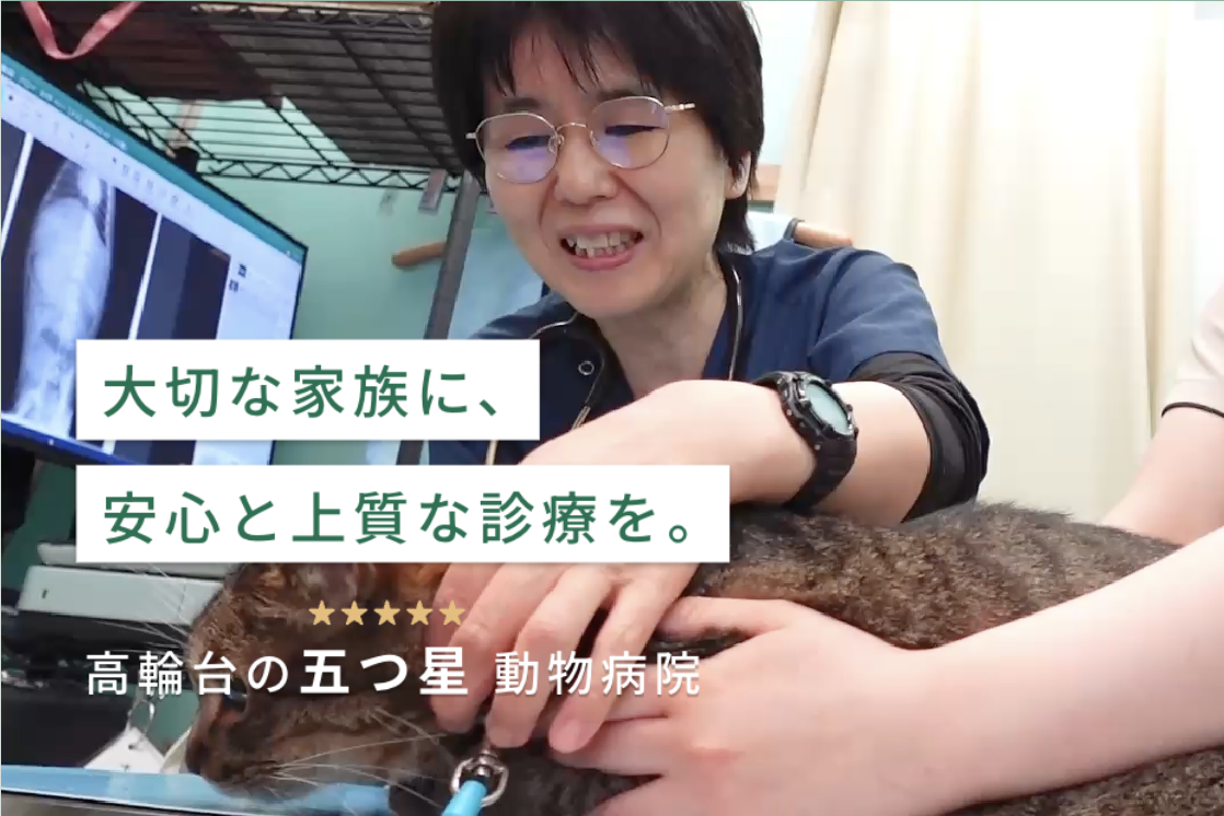 動物医療センターPecoグループ 動物病院Peco 高輪台