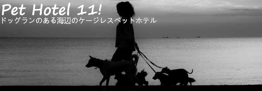 PetHotel11!