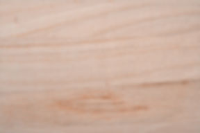 PetSalon ちょこっと