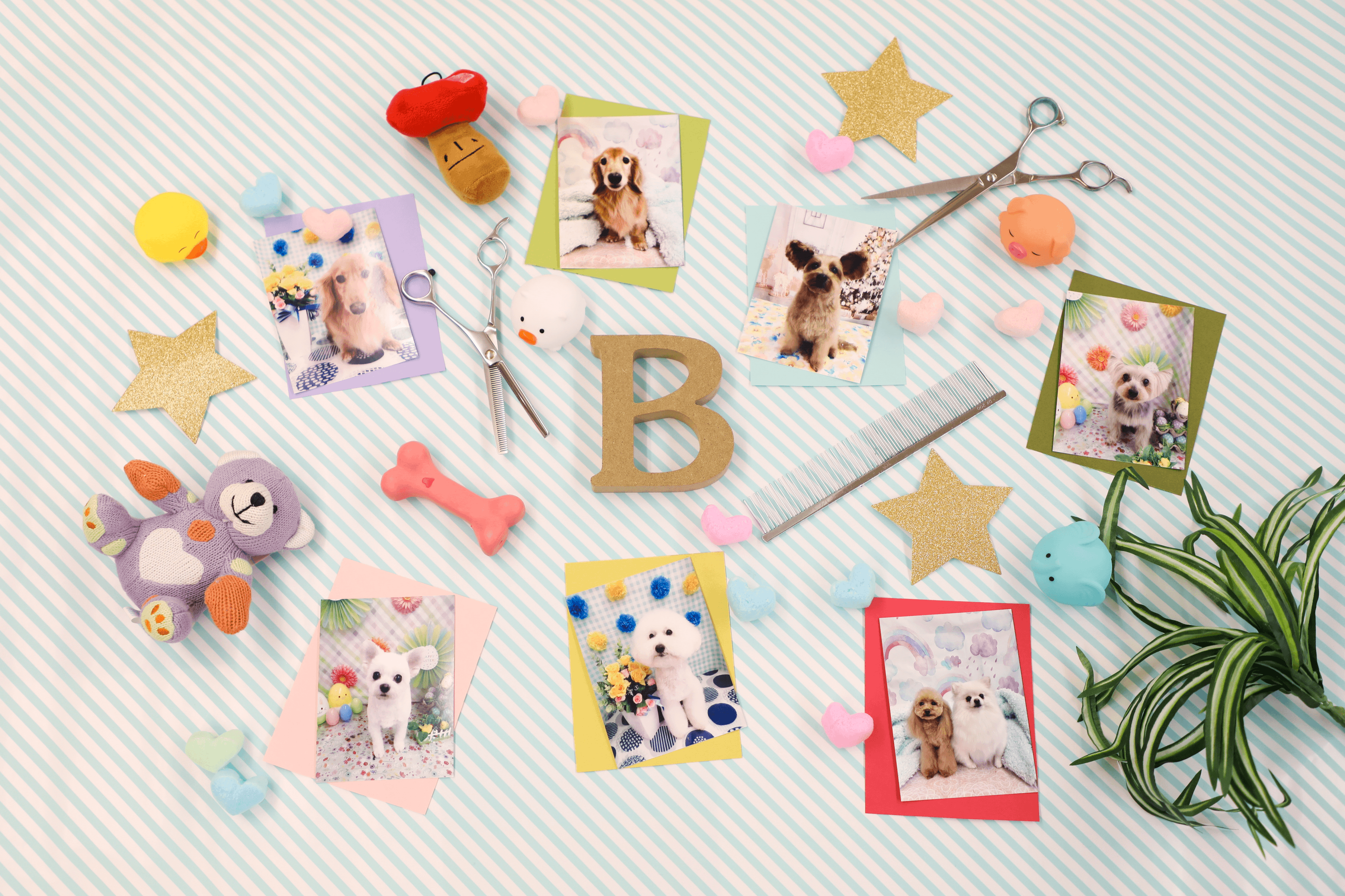 Pet Salon Birthday 緑町店