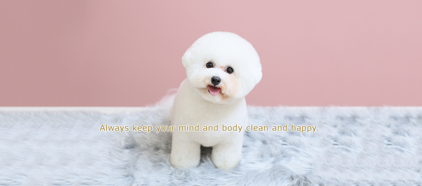 Pet Salon happily...