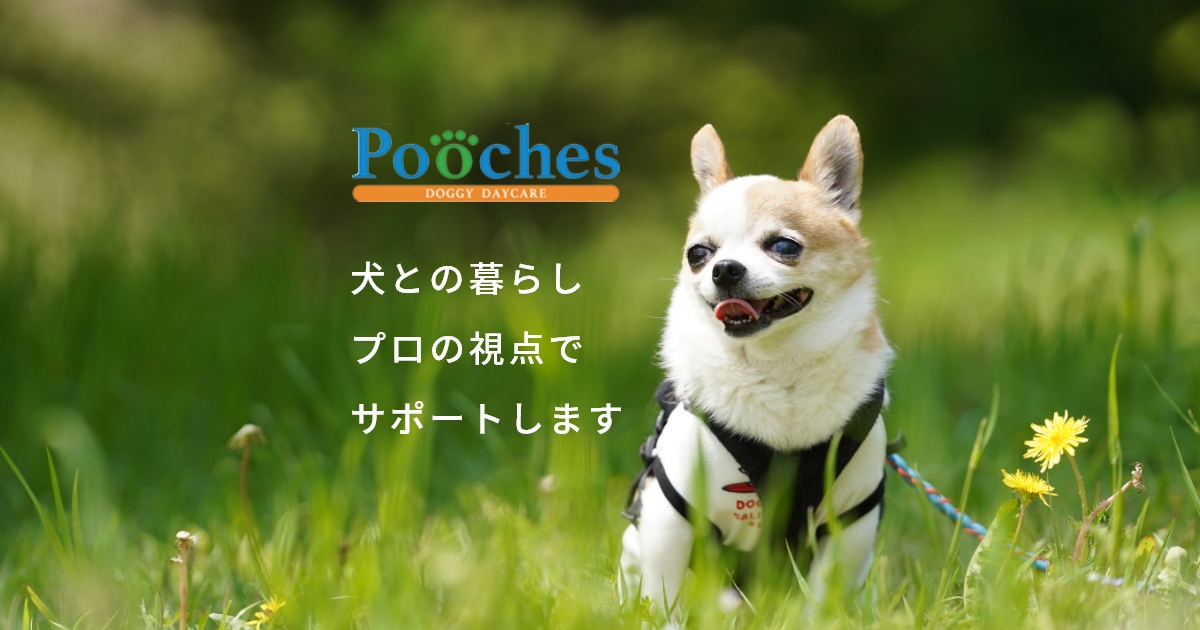 Pooches　有松店