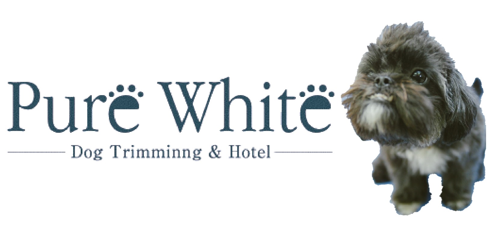 Pure White 守山店