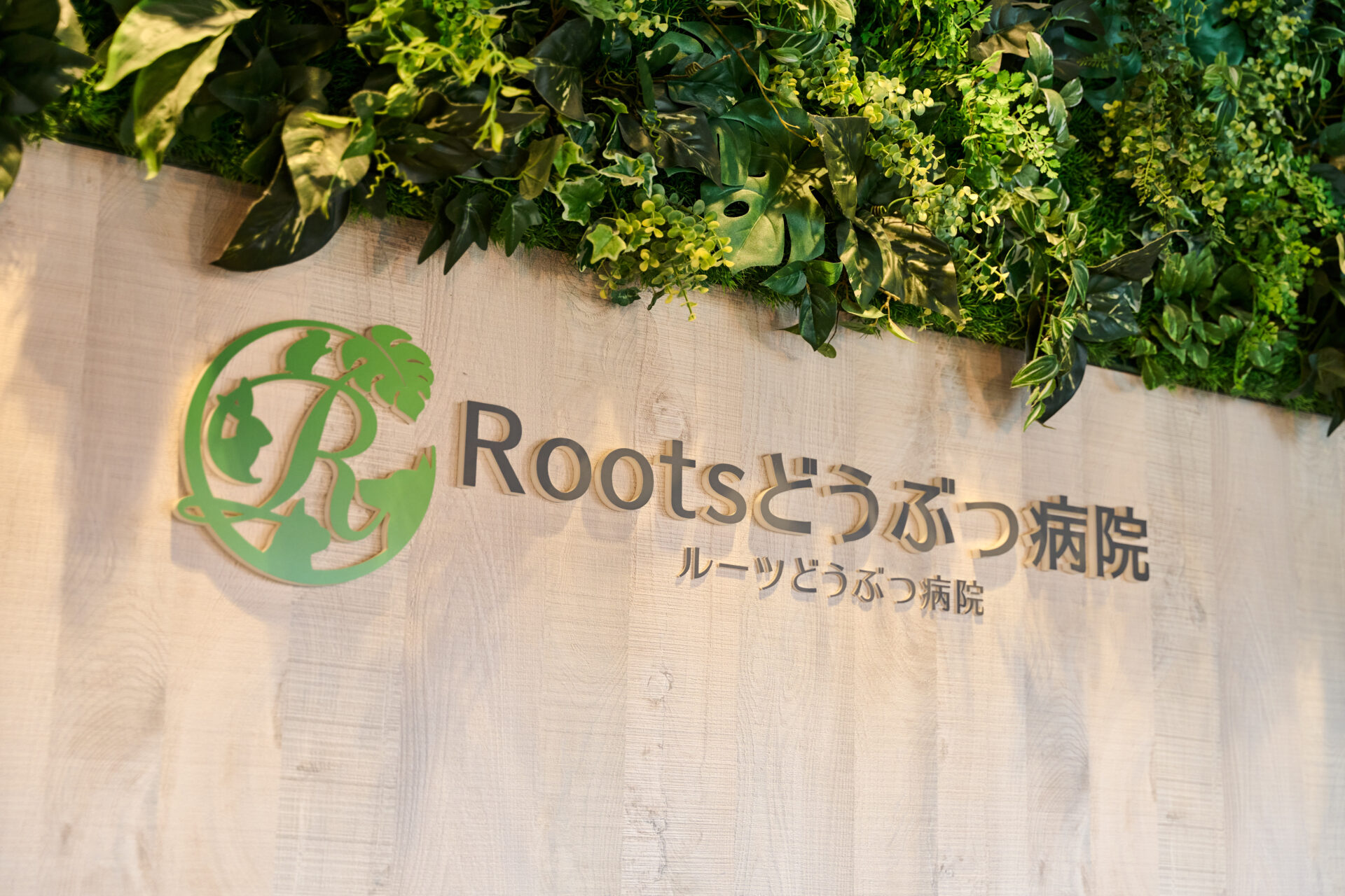 Rootsどうぶつ病院