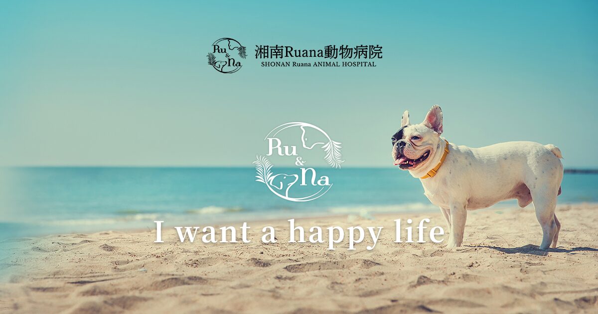 湘南Ruana動物病院