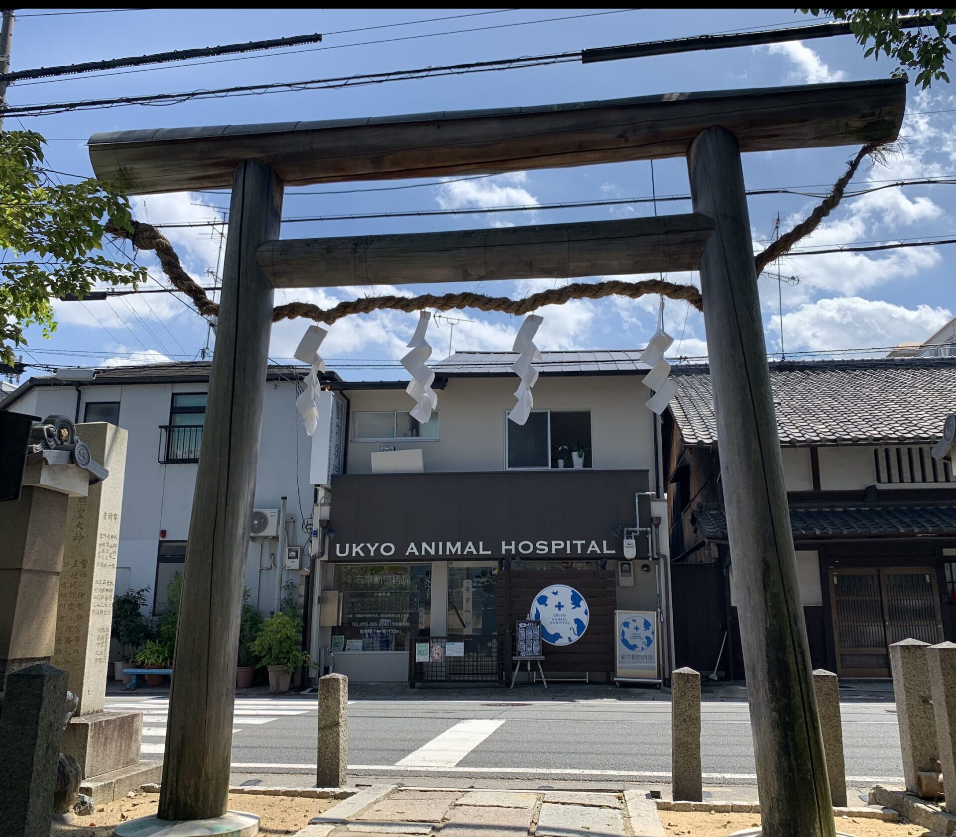 右京動物病院　SAGANO