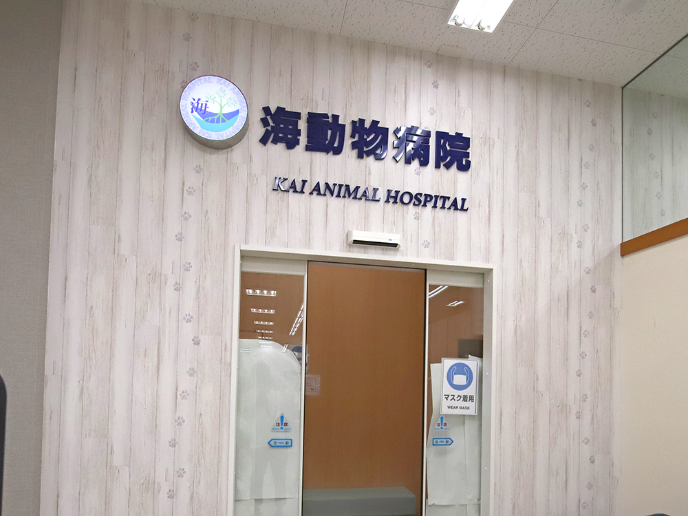 海動物病院　静岡SBS通り医院