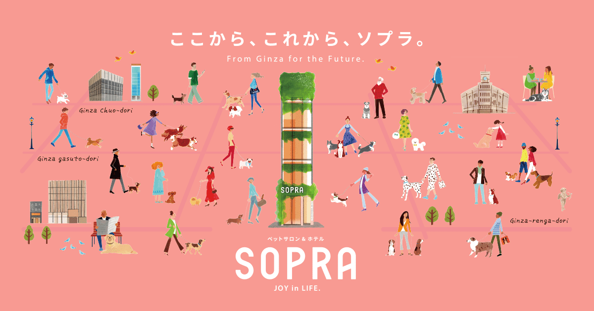 SOPRA GINZA 横浜店