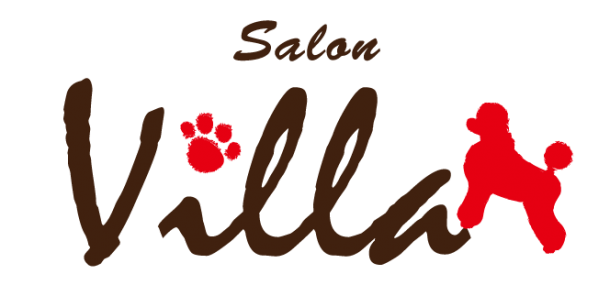 Salon Villa（サロン ヴィラ）