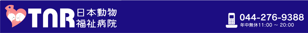 TNR日本動物福祉病院