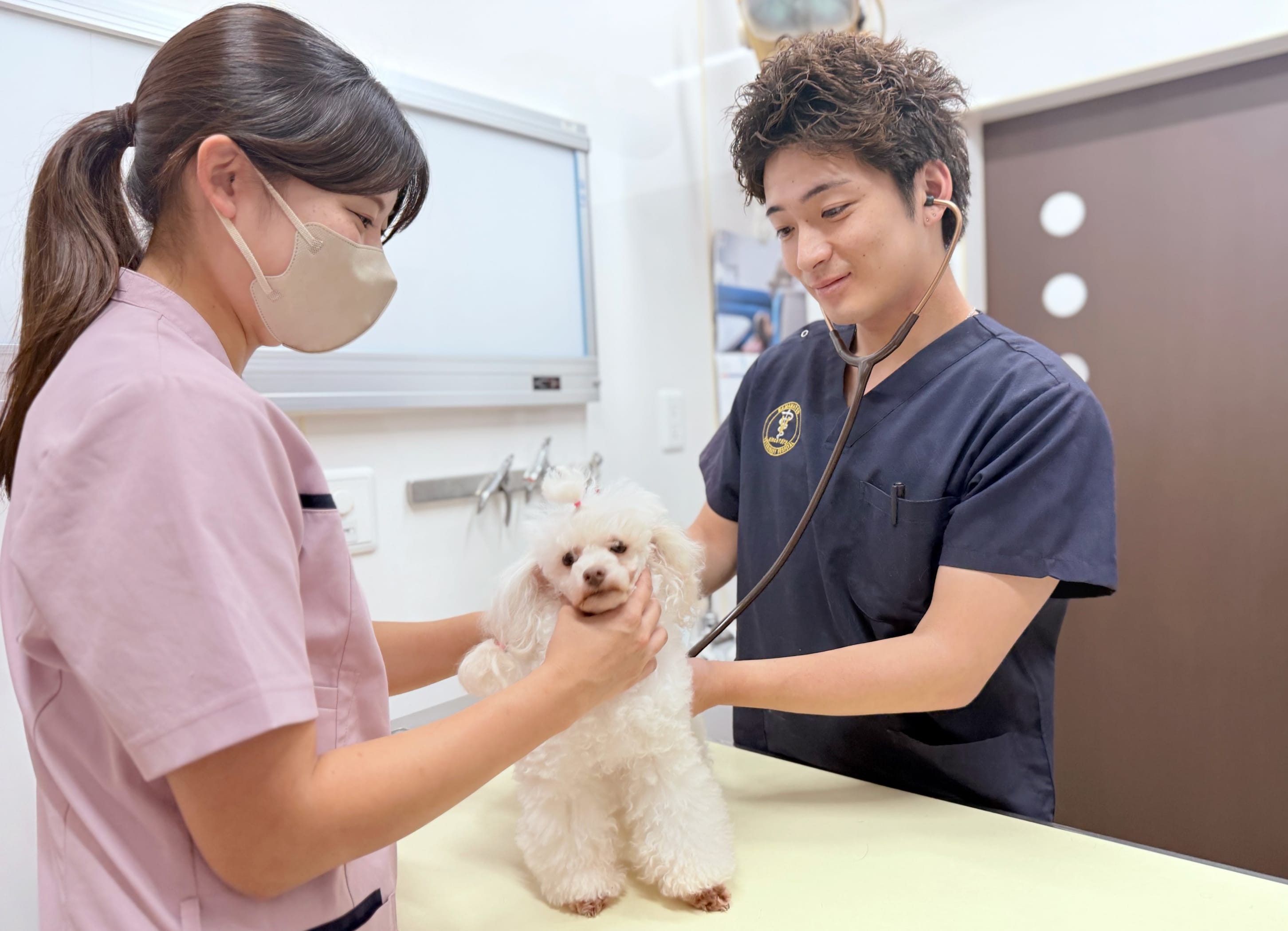 TPC小豆餅どうぶつ病院