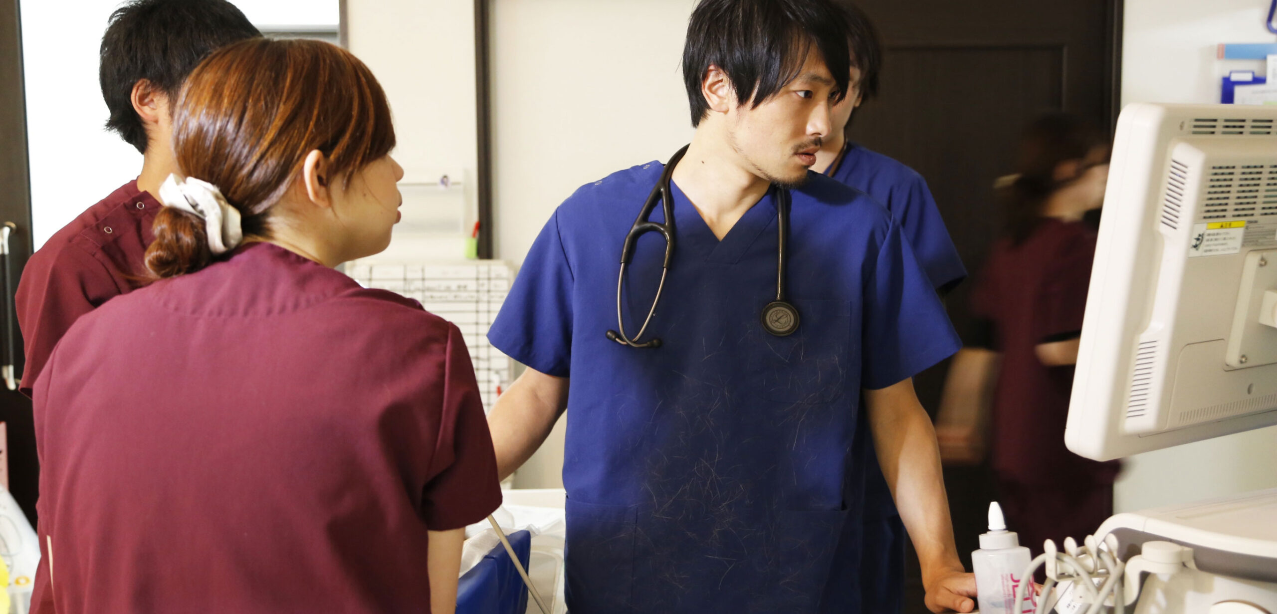 TRVA 夜間救急動物医療センター