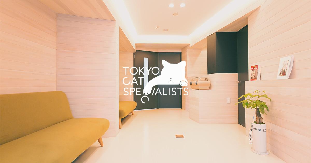 Tokyo Cat Specialists