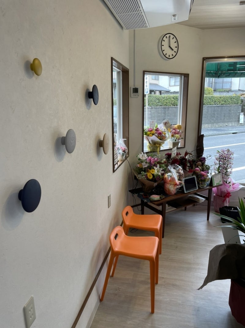 Triming Room DOG ...