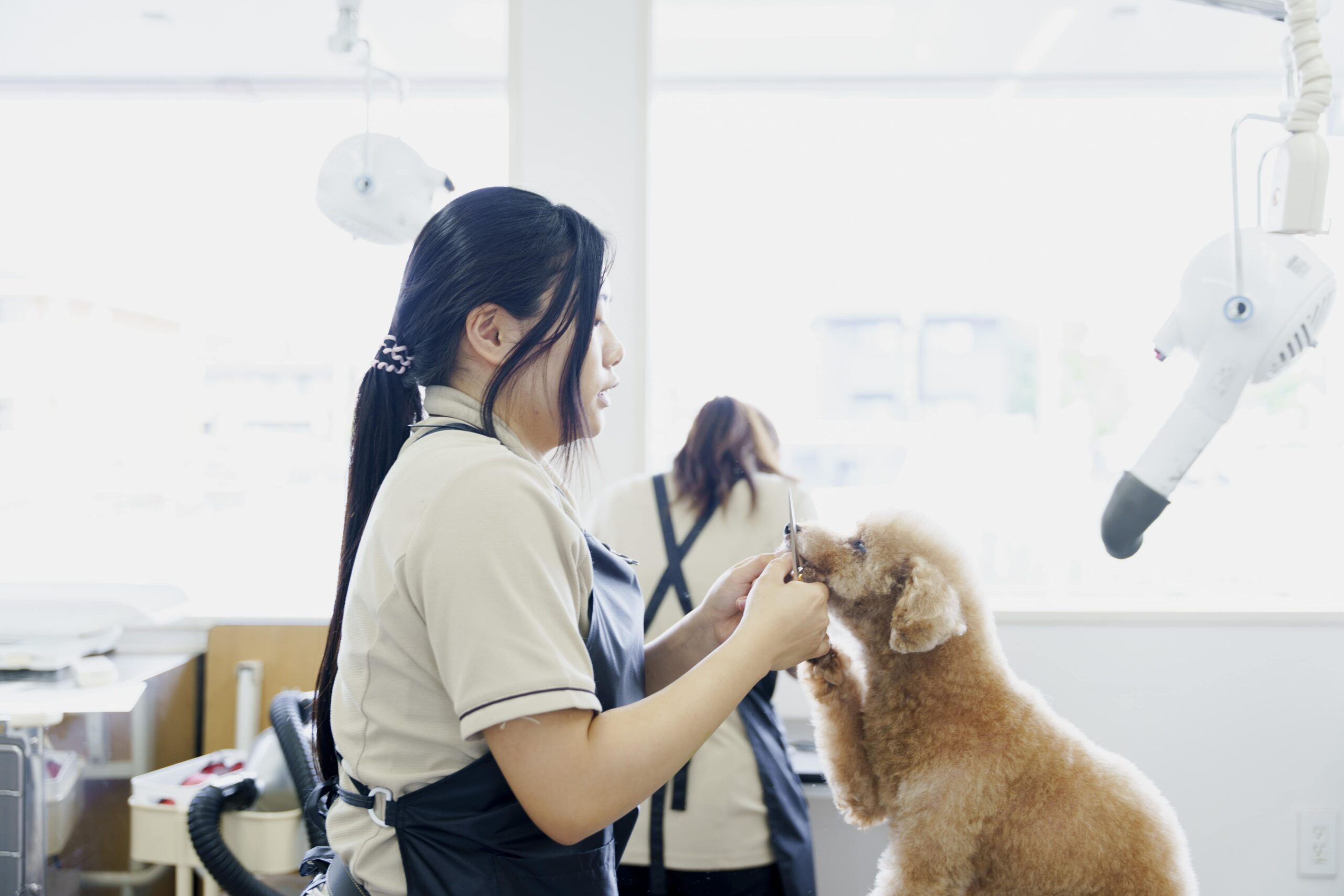 Trimming&Pethotel ROMEO