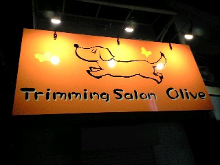 Trimming Salon Olive