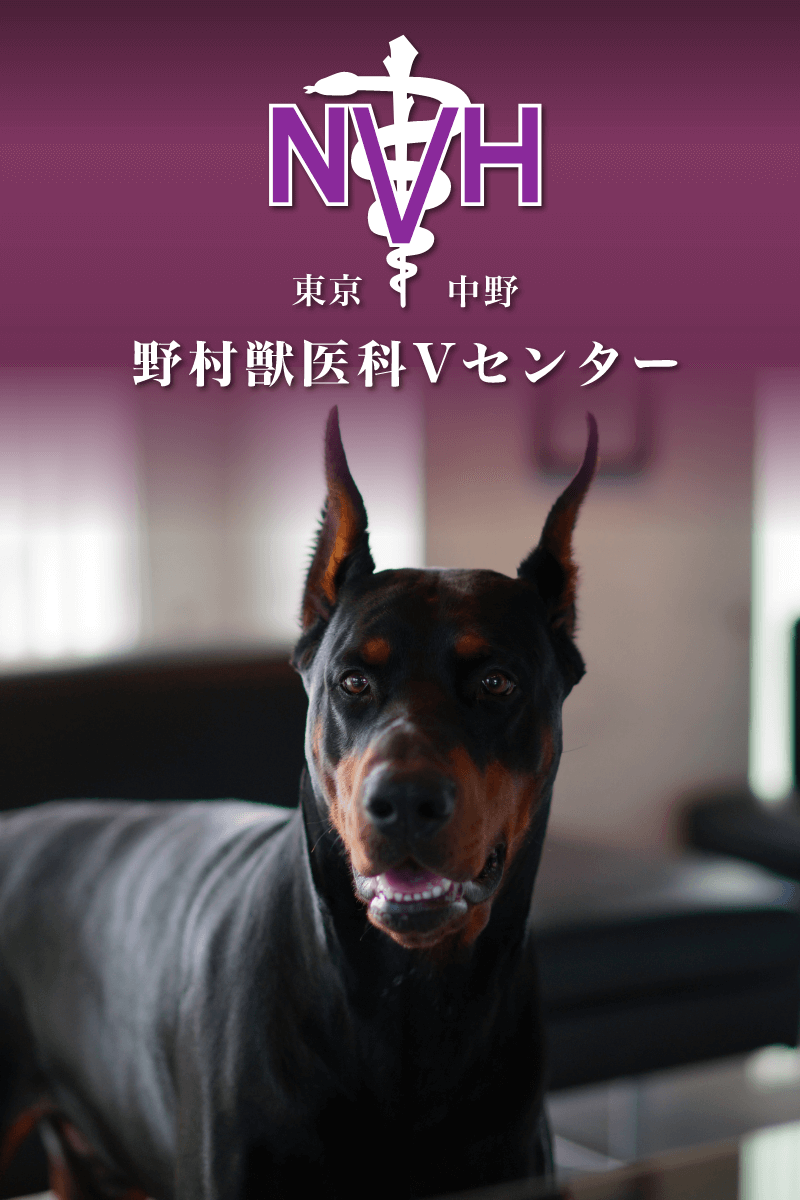 野村獣医科Vセンター