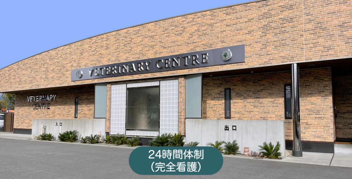 VCJ動物医療センター 駿河