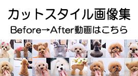 ドッグサロンV.I.D...