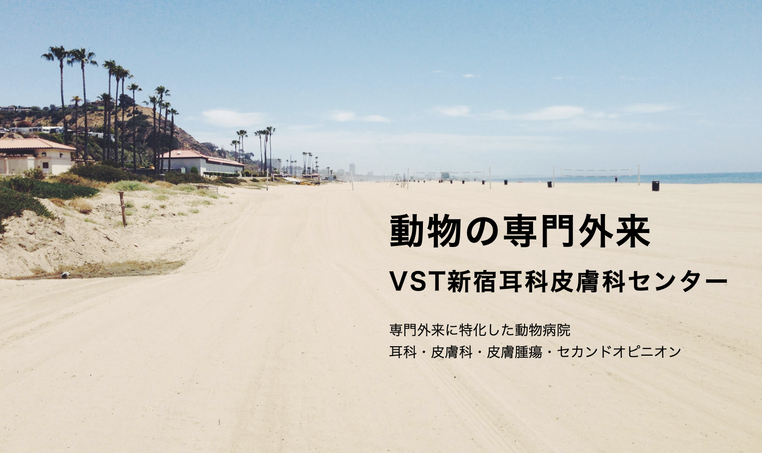 東京動物耳科センター 新宿VST