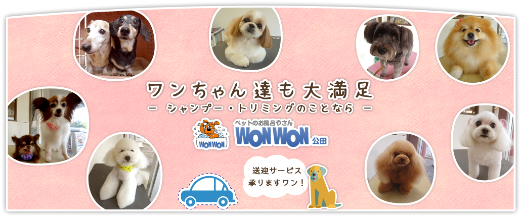ペットのお風呂やさんWONWON 公田