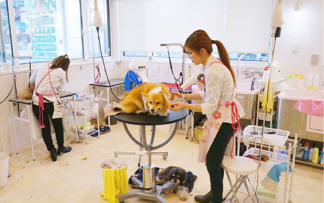 Wann's plus -ワンズプラス-