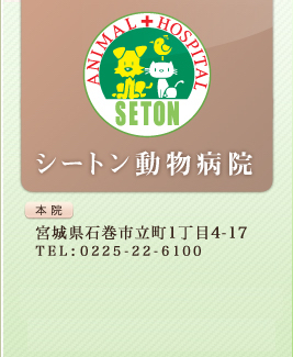 シートン動物病院YAMOTO