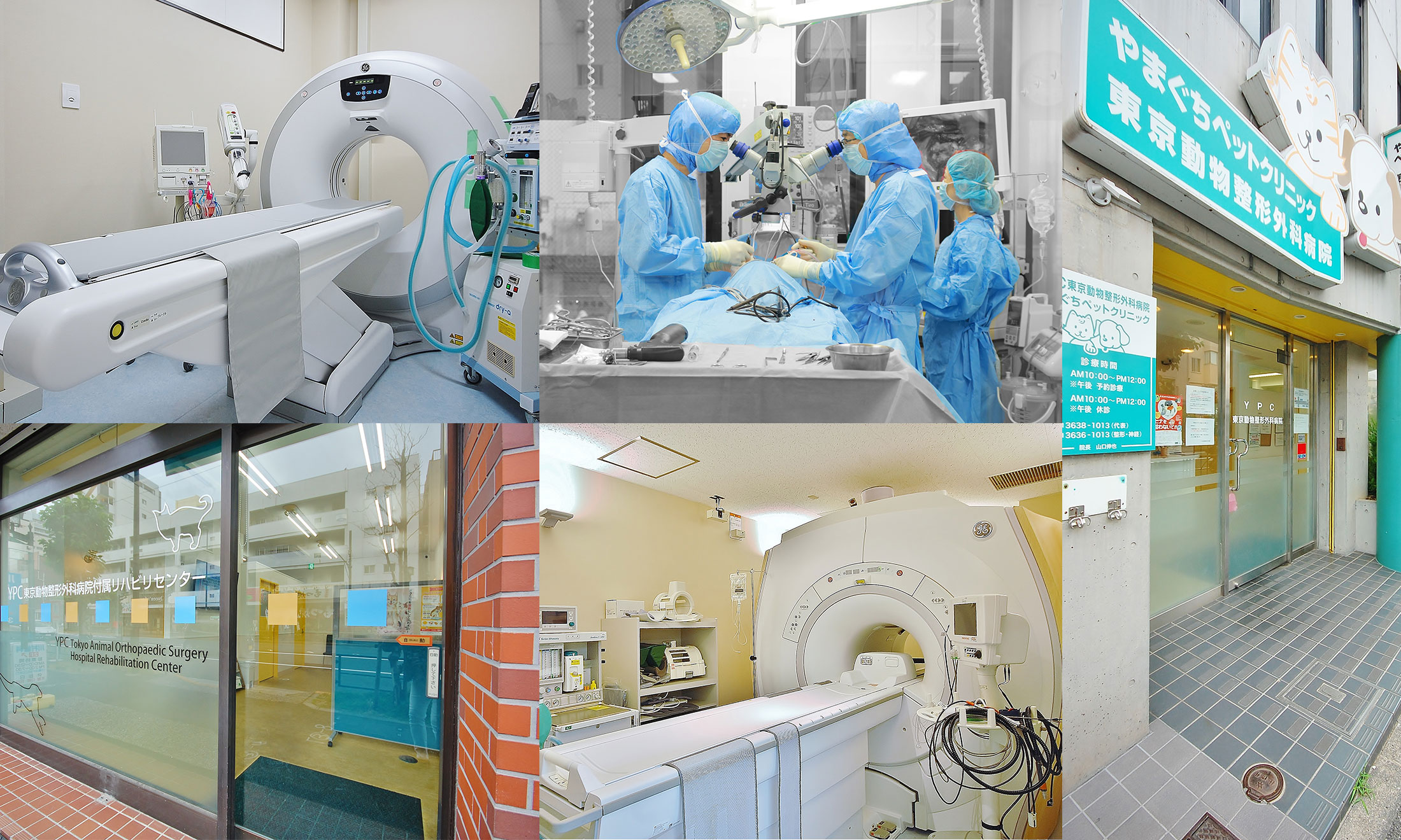 YPC東京動物整形外科病院