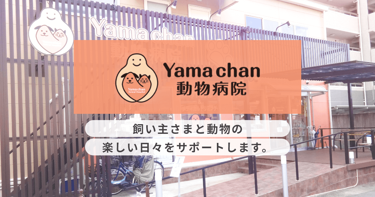 やまちゃん動物病院（Yamachan動物病院）