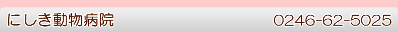 にしき動物病院