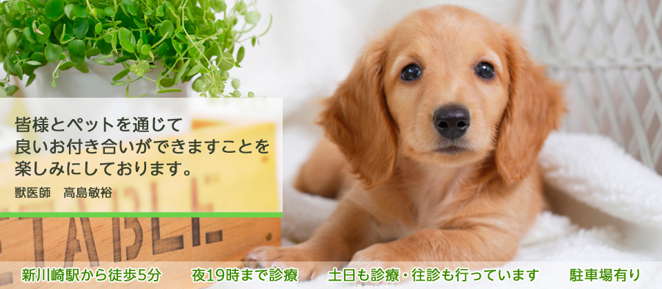 あいあいペットクリニック