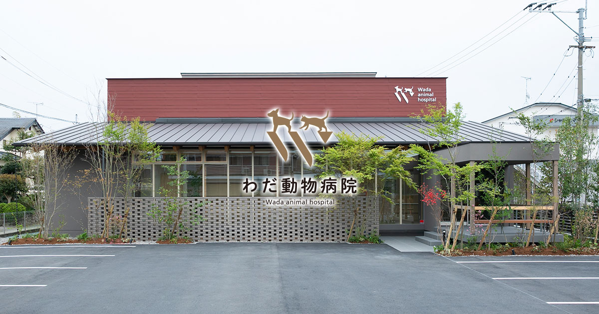 わだ動物病院
