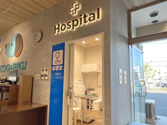 海動物病院　岡山往診所