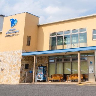 ドルフィンアニマルホスピタル　東浦和動物医療センター