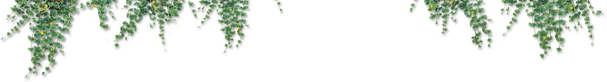 犬の美容室なっちゃん