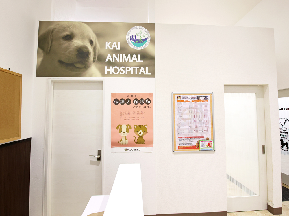 海動物病院　東海一宮往診所