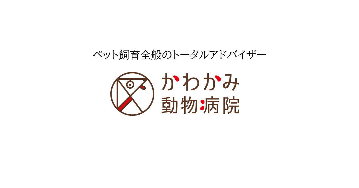 かわかみ動物病院