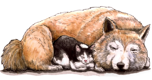 たじま動物病院