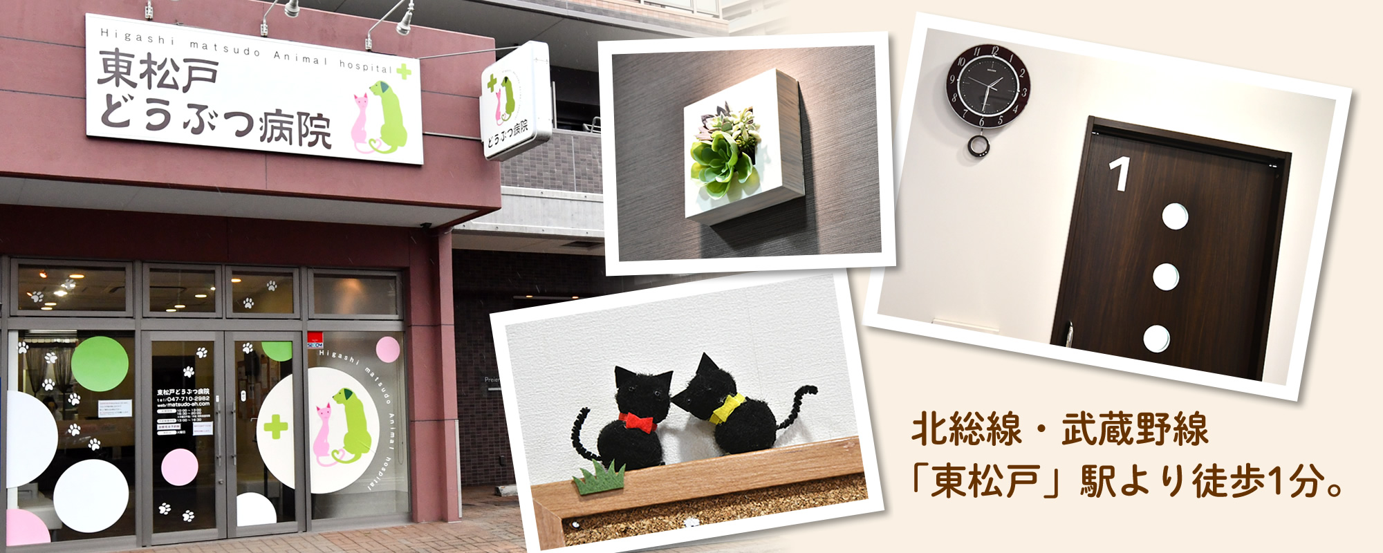 東松戸どうぶつ病院