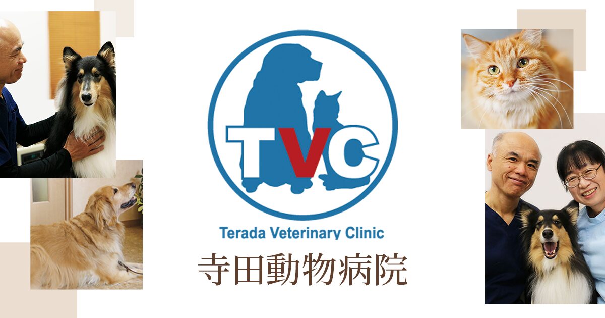 寺田動物病院